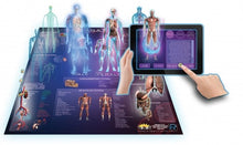 Load image into Gallery viewer, Popar Toys - Human Anatomy 3D Chart
