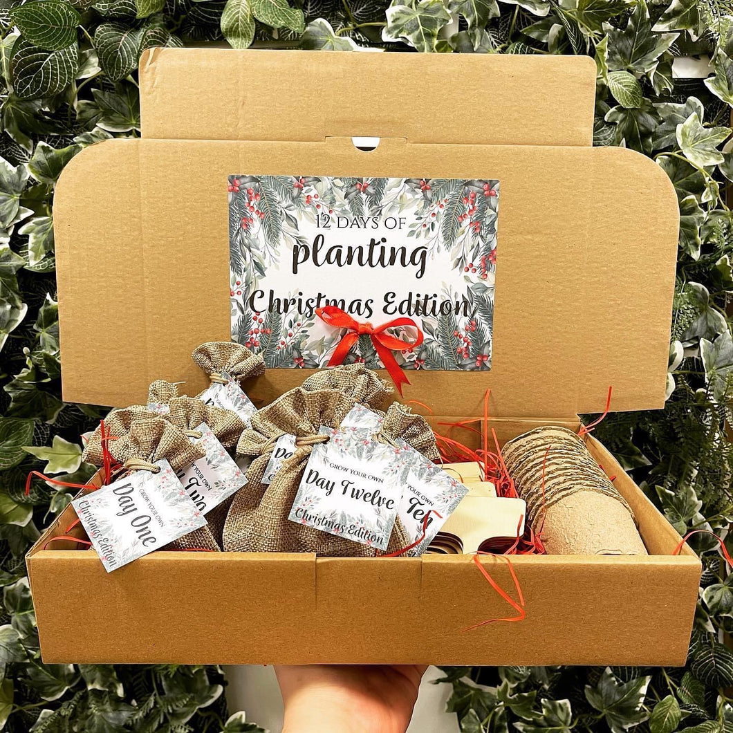 12 Days of Planting - Christmas Edition