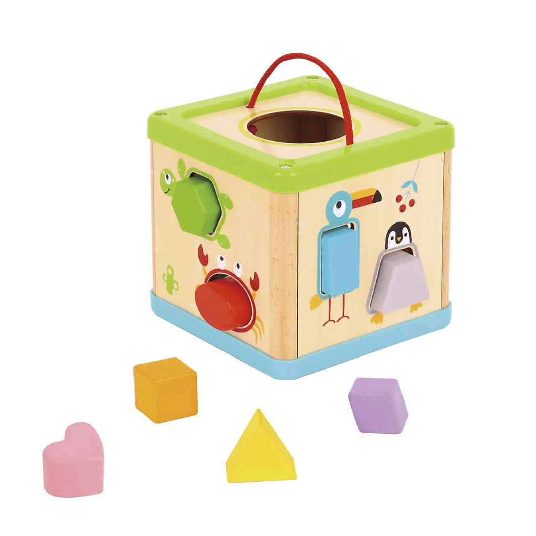 Shape Sorter