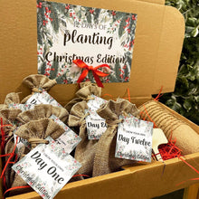 Load image into Gallery viewer, 12 Days of Planting - Christmas Edition
